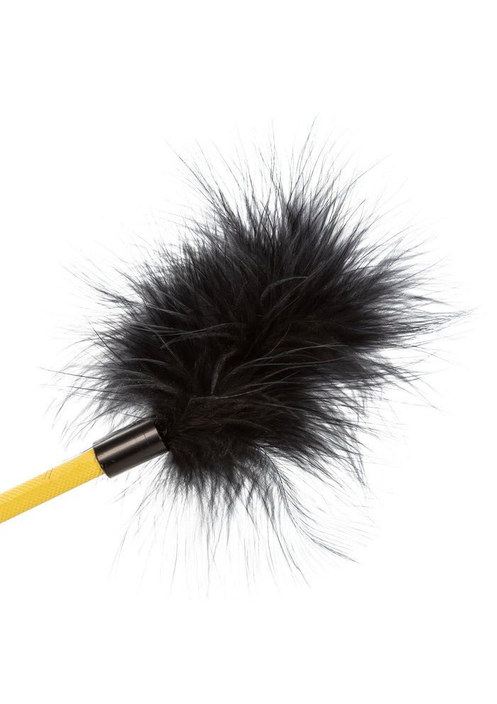 14225 calexotics boundless boundless feather crop