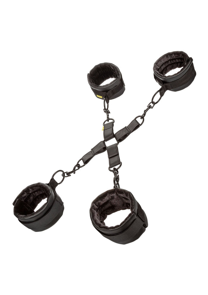 14245 calexotics boundless boundless hog tie