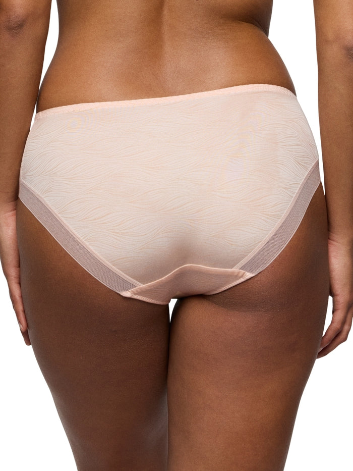 Briana Full Brief