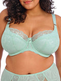 Brianna Half Cup Bra - Frozen