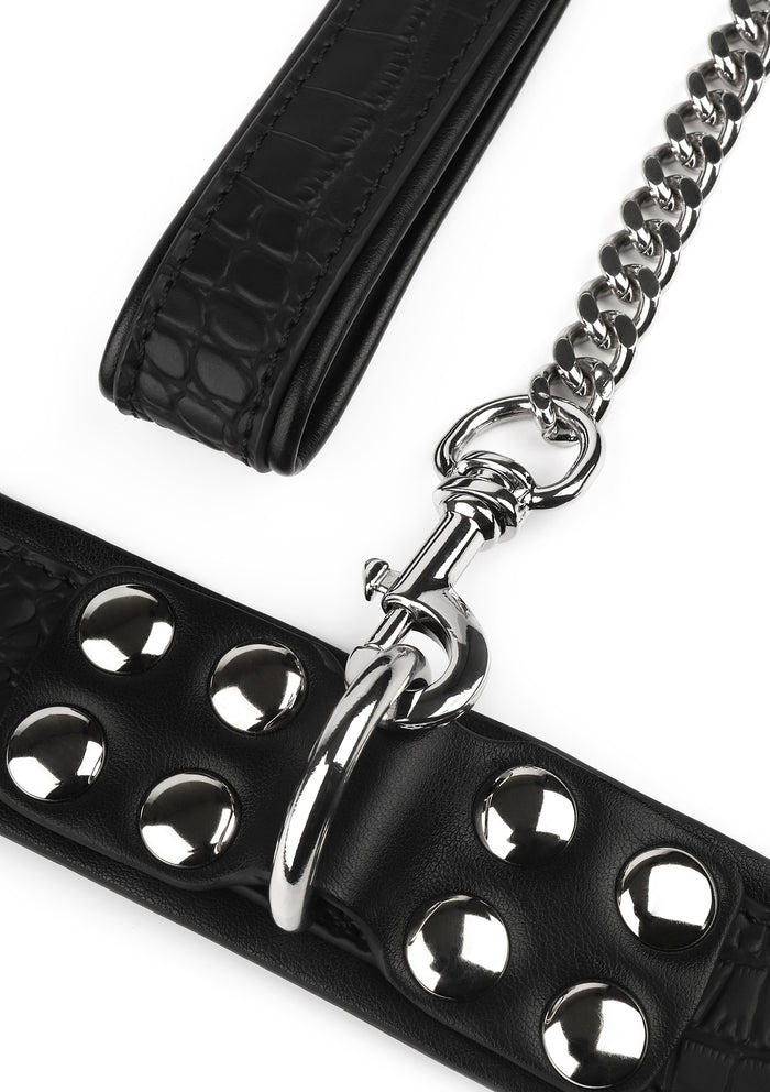 Croc-Embossed Collar & Leash