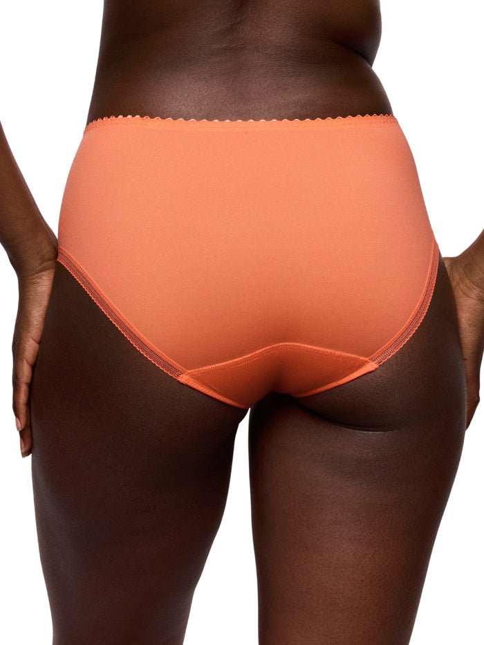 Devdaha Full Brief