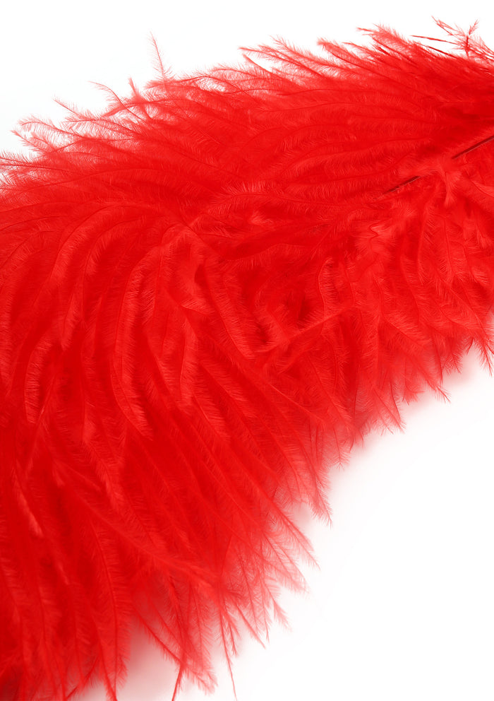 Double Feather Tickler