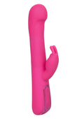 14964 calexotics jack rabbits elite beaded g rabbit