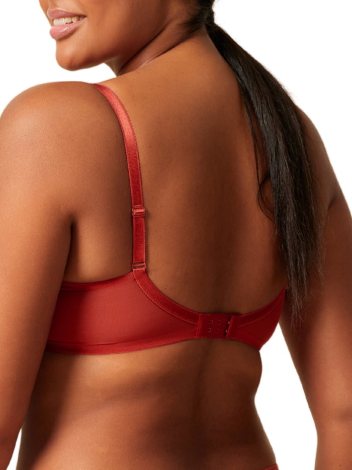 Glossies Lace Sheer Moulded Bra - Paprika