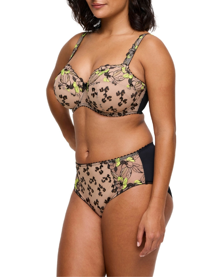 Manali Full Brief