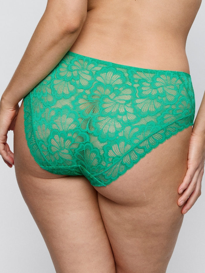 Mocuto Full Brief