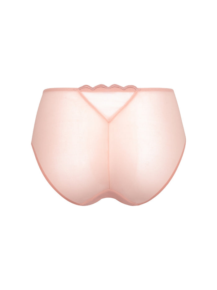 Obsession Deep Brief