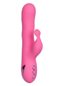 14353 calexotics california dreaming santa barbara surfer