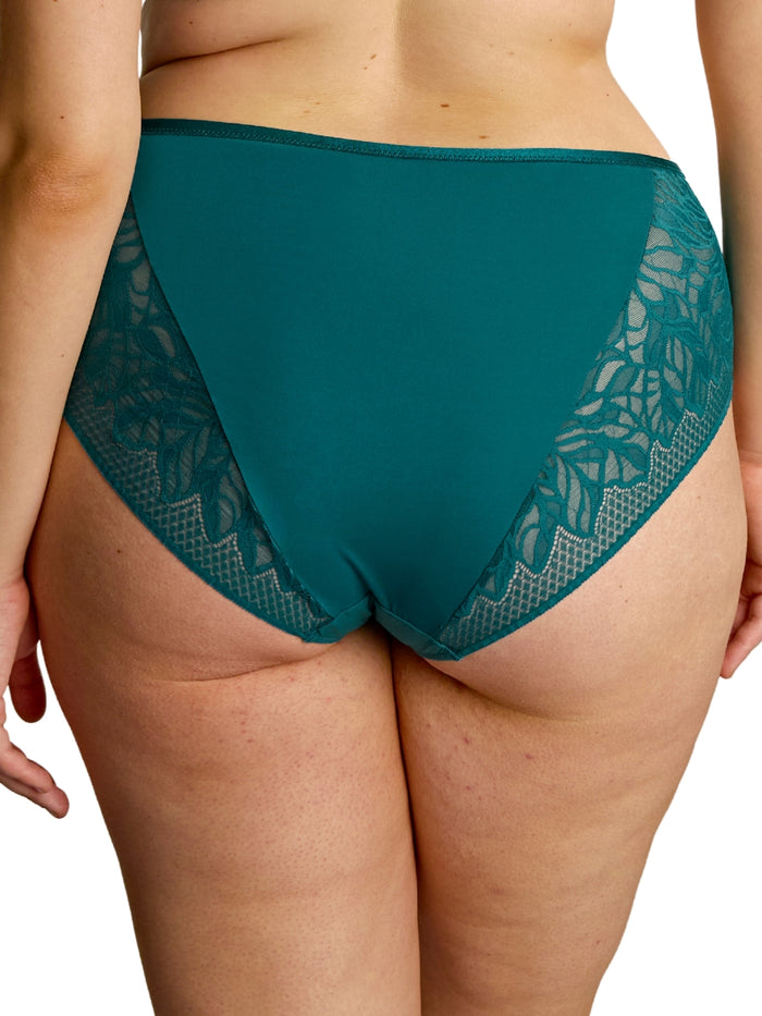 Sophia Deep Brief