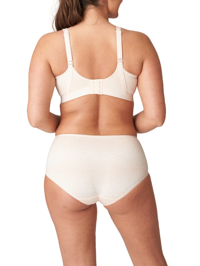 The Gym Full Brief