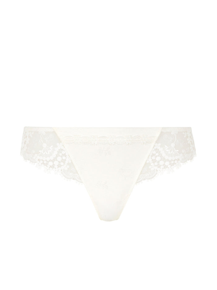 Wish Brief